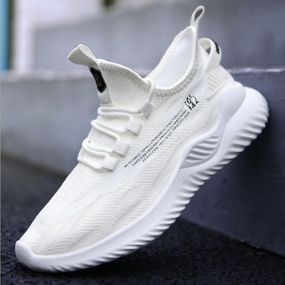 b74c76cc57489dd2dd295468514c5b2e